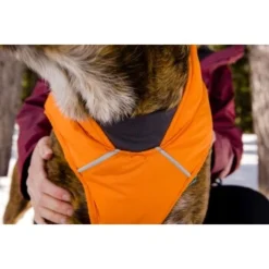Ruffwear Quinzee™ Hundejacke Orange M 19 Ruffwear Quinzee™ Hundejacke Orange M -Hund Spielzeug Verkäufe 001bdf29a34dffebf7840b4a759030f83c299732 1370013 de DE 17dd615b14a3a705025267b6458fddf099eb308bn8H5c2