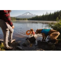 Ruffwear Hydro Plane™ Spielzeug M Orange -Hund Spielzeug Verkäufe 006b8682fcf44b40a786d55bd2f1d1cf7f91a7a7 1364300 de DE b9c71d828876a94633bfda1055d03e137f81043ehPprdP