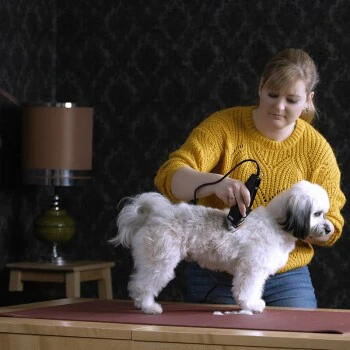 Moser Schermaschine REX 2 Moser Schermaschine REX – Bild 2