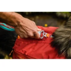 Ruffwear Front Range™ Hundetagesrucksack Rot XS -Hund Spielzeug Verkäufe 0278df20b3c931a8d81473a73df560cd9a7e5ecc 1639836 de DE d12d06915083acd2988c3ee49c4ae10ac87bddde5qBgCI