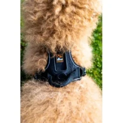 Fressnapf Tracker Pathfinder Geschirr Set S 11 Fressnapf Tracker Pathfinder Geschirr Set S -Hund Spielzeug Verkäufe 0473ecbb0fe55fb7883a57b7591ab570c5a5aaa7 1409260 2