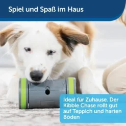 PetSafe Selbstbewegendes Belohnungsspielzeug Kibble Chase -Hund Spielzeug Verkäufe 04ee16df08a1d0058720c3c24edae0b380a4f40b 1418726 de DE 98f77b1c14ebd5f386fc2520d6b8f5d2f621874avKV76L