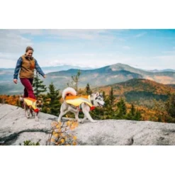 Ruffwear Lumenglow™ High-Vis Hundejacke Orange XL -Hund Spielzeug Verkäufe 055f8ec457e40b7d33e9c275c20ea79bae1e006a 1378153 de DE e8b1f6094bc39d07bc90bd4fe7fc0806cf22bedaBId7iB