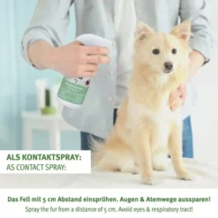 Aniforte Zeckenspray Für Hunde 250ml 9 Aniforte Zeckenspray Für Hunde 250ml -Hund Spielzeug Verkäufe 0ca4c3ac9d07be75d8e886195debd8877282d3dd 1501152 de DE d37c14ba9ed3ecad978e481e7bece5097534ebd5Pfgsmp