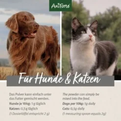 Aniforte Teufelskralle Pulver 250 G -Hund Spielzeug Verkäufe 1129af5e6fdd7620bcbe603f840f1fa32ab4f263 1337239 de DE d209e79c0d9935be673cb478ddae6b5f270dff2bSkXDU9