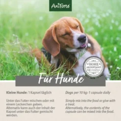 Aniforte Zecken Schild (bis 10kg) Für Kleine Hunde 60 Kapseln -Hund Spielzeug Verkäufe 14f92616b6322b4e62e01d29fcccaf885e976307 1332831 de DE 6bc9b6e0f4008a56f840e783386b682a64027c34fBMT6s