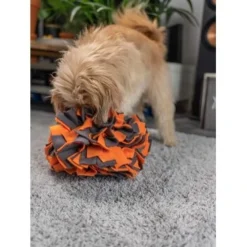 TrendPet Schnüffelball Orange -Hund Spielzeug Verkäufe 150c7485ceb45f446eae94d286af034396b6b839 1347789 de DE 0d959a3cb36067968769c2d102a66fcc1f59a724hVebVb