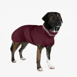 THE DOG IDEA Regenmantel Kayden Bordeaux XXXS -Hund Spielzeug Verkäufe 15199a1306a3ace800e507518b9566b7fa68dccf 1681344 de DE 94a97a0c60e07ef5f6aadab2583dc6e8415511e0pXx3H5