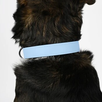 THE DOG IDEA Biothane Halsband Hellblau XS 2 THE DOG IDEA Biothane Halsband Hellblau XS – Bild 2