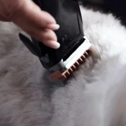 Moser Schermaschine REX 9 Moser Schermaschine REX -Hund Spielzeug Verkäufe 1772a67d22493cedccf903dd1e91d7ff370d86f7 29185d9f269d8954e1525c804aae277033703d78