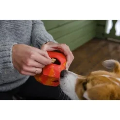 Ruffwear Gnawt-a-Rock™ Spielzeug Blau 17 Ruffwear Gnawt-a-Rock™ Spielzeug Blau -Hund Spielzeug Verkäufe 18a32f6fd206d1a1fd4df8bb6663cd33f769d9d5 1639879 de DE b243dd683d9144eaac7a8d1e460c634ef96ee8c8AtipD6