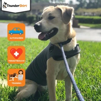 Thundershirt Beruhigungsweste Grau XS 2 Thundershirt Beruhigungsweste Grau XS – Bild 2