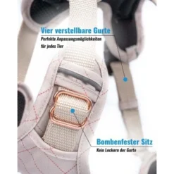 Freudentier Atmungsaktives Hundegeschirr S -Hund Spielzeug Verkäufe 1dd9355121ce0163a42a010d21baed74f64fc74a 1429123 de DE eaed40f35bc949607914cfec8851ecbd487e6deaWGwQlp