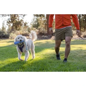 Ruffwear Gourdo™ Spielzeug L Violett 7 Ruffwear Gourdo™ Spielzeug L Violett – Bild 7