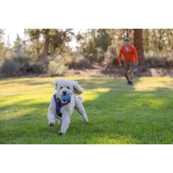 Ruffwear Huckama™ Spielzeug Violett 6 Ruffwear Huckama™ Spielzeug Violett – Bild 6