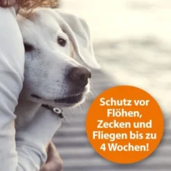 Ardap Flohspray Zur Anwendung Am Tier 250ml -Hund Spielzeug Verkäufe 1e38b7747570a91b3fd009f3974005664ac2d015 1227735 de DE 3ce23e78efb3686272f02c09e5ca6ade74ba7902gmBWUo