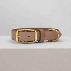 THE DOG IDEA Leder Halsband Beige XL -Hund Spielzeug Verkäufe 1ec48d2972c0e1dfe6ea7297404e371c480b6f93 1674216 de DE e62f018514b26e403cf6836ac6a855f79abfd60fyH1vTH