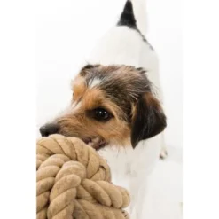 Trixie BE NORDIC Tau-Ball 18cm -Hund Spielzeug Verkäufe 1f7fb2f6aa41b9eda5c2948d6d177e65789848a0 1317741 de DE Trixie be nordic Tau Ball wb 2