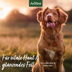 Aniforte Shampoo Sensitiv Fellharmonie 200ml 8 Aniforte Shampoo Sensitiv Fellharmonie 200ml -Hund Spielzeug Verkäufe 2097254a6b4e415d3a0edb83aa9d2032cffed91d 1429321 de DE 9ad2c88d61b15118d84c53e444ddfb7e0e6c1229m11pID