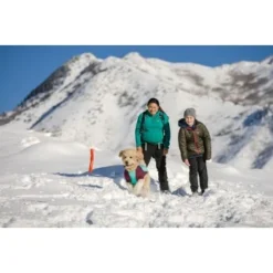 Ruffwear Gnawt-a-Stick™ Spielzeug Blau 16 Ruffwear Gnawt-a-Stick™ Spielzeug Blau -Hund Spielzeug Verkäufe 2246c88048d09d53fa487f072b22d14e4a2e33ef 1639653 de DE 5f53794cf035e2b111cadee76ead9defd3616d73NuZA0y