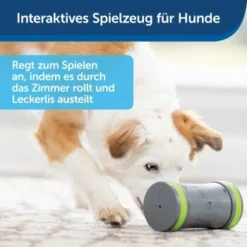 PetSafe Selbstbewegendes Belohnungsspielzeug Kibble Chase -Hund Spielzeug Verkäufe 232030f86f814de36b46e922b9019b2a80aa0a4a 1418726 de DE cabfebb8ef64f9f8a7009d6c5080cb046558ff00b0jRo2