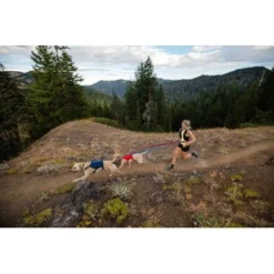 Ruffwear Switchbak™ Geschirr Rot L-XL -Hund Spielzeug Verkäufe 23dd195703ee00ec85cacb65e74729e3bb506fa0 1651575 de DE 377a773ec9492fbe4e6e0591699f3d1ad7b1f7b1ZbmBUY