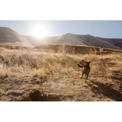 Ruffwear Hover Craft™ Spielzeug Orange -Hund Spielzeug Verkäufe 23f3ce0fb188e4f5a253007adc90481d6747961b 1364297 de DE e44fe3627eb338195cfdd7c589598a8edb05def2xpzXS1