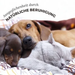 Aniforte Bachblüten Protest -Hund Spielzeug Verkäufe 2588226ebcbbd40f01b907ef368da65b2a00ff55 1480465 de DE 3ebd76937caa06852ee58c852a369637b3a50c858P4hCz