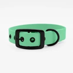 THE DOG IDEA Biothane Halsband Mint Schwarz XS -Hund Spielzeug Verkäufe 25cf8844167d35dc6a0ede8247bd0c1c48926912 1679203 de DE 5dfc334cca991c733ec62b12b4247e7b946f4cb7XO7Lzj
