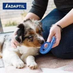 ADAPTIL Junior Halsband Anti Stress Erziehungshalsband 12 ADAPTIL Junior Halsband Anti Stress Erziehungshalsband -Hund Spielzeug Verkäufe 281050210313953b97368cab0756aeb1543af3e5 1287044 2