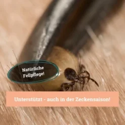 BeG Buddy Fellspray Zecke 9 BeG Buddy Fellspray Zecke -Hund Spielzeug Verkäufe 297119792bee87c54c4080010b8d6149223d300c 1457254 de DE b0426d8711049b0aafb9b17aaa93a89672536d279Kmo8x