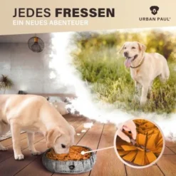 Hund Spielzeug Verkäufe -Hund Spielzeug Verkäufe 2993e58405b3c15045f758151ddde5dff6a605a1 1477265 de DE 96bd2f0b68b9a117b49dcf9ba1ba882462eaad8aGANyC3