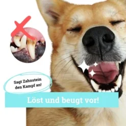 BeG Buddy Zahn Weiß Dental Spray, Zahnpflege & Maulhygiene Hund 6 BeG Buddy Zahn Weiß Dental Spray, Zahnpflege & Maulhygiene Hund -Hund Spielzeug Verkäufe 2b26d8c9897450ebcdc3208b54321074a39fd8e8 1457255 de DE d036d3de3fb2bf618dcbd8071c7342bd7ffedc2f5CGqW6