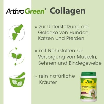 ArthroGreen Collagen 130 G 2 ArthroGreen Collagen 130 G – Bild 2