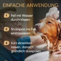 Pawlie's Hundeshampoo Für Langhaar 8 Pawlie's Hundeshampoo Für Langhaar -Hund Spielzeug Verkäufe 31fb70412552456c4a02729fa462588fcf0d4e5b 1626203 de DE 25d5ddf898b492fba858f49f2f6f7a8a36500b93qNDG8c