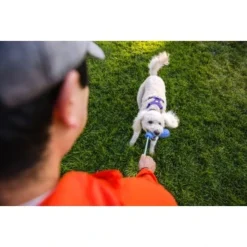 Ruffwear Gourdo™ Spielzeug S Grün -Hund Spielzeug Verkäufe 340d5a3cda4bb7c7215d03f2d69aea1fb532027d 1639795 de DE dcb292407c796db89093f35e704145b6700aa2deFjWC0G