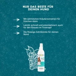 MediDog Dental Fresh & Clean 7 MediDog Dental Fresh & Clean -Hund Spielzeug Verkäufe 343cceef613c074ed5b447a70d31269a870cf15d 1499660 de DE f2641cc7f5b00beb77fbbf61330ce24716292663yYZq7c