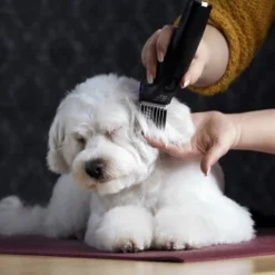 Moser Schermaschine Arco Pro 17 Moser Schermaschine Arco Pro -Hund Spielzeug Verkäufe 365e29754c538dcc259069da0cc9793e69d0b654 8ffdd5bc19f3a136ec865d6030d040722a7ad1c3