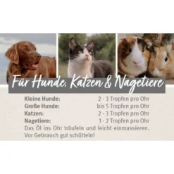 Aniforte Ohrmilbenöl 20ml -Hund Spielzeug Verkäufe 3adde795eb647b04fe8dbb9c57921b1e349fe854 1477516 de DE 2e5d44c026fd74dddfe336457e162fb80508e684Gifxli