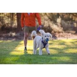 Ruffwear Huckama™ Spielzeug Violett 14 Ruffwear Huckama™ Spielzeug Violett -Hund Spielzeug Verkäufe 3c9858f23e189df169fef8e6b079b9b80afe5185 1639706 de DE 22affde3e5114f0c2b5db19a77f0508968440a74megCgS