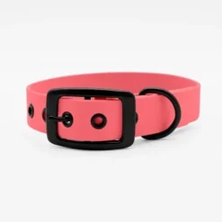 THE DOG IDEA Biothane Halsband Coral Schwarz S -Hund Spielzeug Verkäufe 3fa764ed11770f5441df17db28eb054be4c60c1a 1679192 de DE d216a06a81c92aca38c61d46cb91e0f892cbd4ceiEVE4n