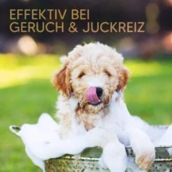 Pawlie's Welpenshampoo 11 Pawlie's Welpenshampoo -Hund Spielzeug Verkäufe 42f9c58257fb2002e5c33c2d81bd829c9adeb1cc 1626204 de DE 8b17d3990cf88ea437c76c60b6848183bc9636a5a44ihJ