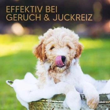 Pawlie's Welpenshampoo 6 Pawlie's Welpenshampoo – Bild 6