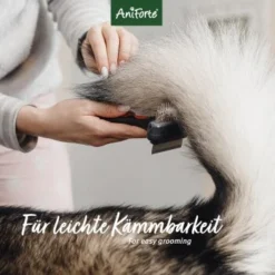 Aniforte Pflegespray Kokos Fellharmonie 200 Ml 14 Aniforte Pflegespray Kokos Fellharmonie 200 Ml -Hund Spielzeug Verkäufe 439a781d2e4112eccb3d9c060e6b47df8bacbc70 1419045 de DE 0e8e4b463cb1cda232cef1a2b76d36ca72baeaa1SxHMNi