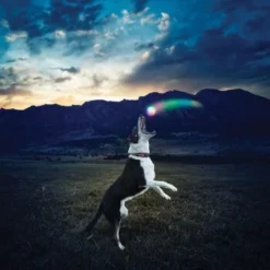 Nite-ize Nite Ize GlowStreak LED Ball 8 Nite-ize Nite Ize GlowStreak LED Ball -Hund Spielzeug Verkäufe 43e2b2f69678f8bd9a4783234d4d2f0f6539de2c aa0d4fe645719d25b1229e63d789e39274accd93