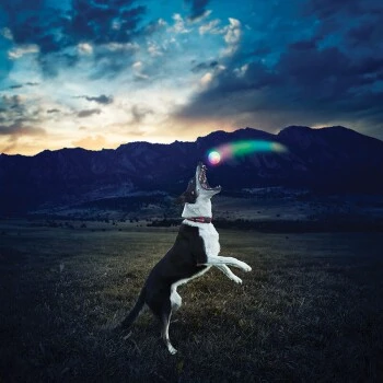 Nite-ize Nite Ize GlowStreak LED Ball 4 Nite-ize Nite Ize GlowStreak LED Ball – Bild 4