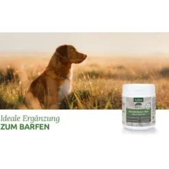 Aniforte BARF-Line Naturkräuter Mix 250g -Hund Spielzeug Verkäufe 464ddda8fc38a6e027c6cafe7fde53f2ad109df8 1477973 de DE 4e7a685a7dd87aa68a02cfea6763367892d36c13HaZ7EK