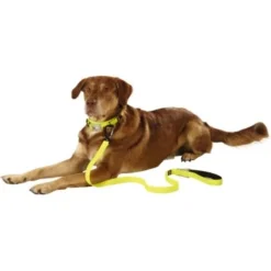 Dogs Creek Leuchtleine Polar Light -Hund Spielzeug Verkäufe 48ec78e33596b92140d6b3398e8f71750d03c13c b92f1359dc8ad4069aab6c61ba7cbbf439b4b6f2