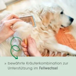 Fell & Haut Vital 150 G -Hund Spielzeug Verkäufe 4b5f7de965eae94531d5560734f33444a0071a93 1049905 de DE 2d1bc3a540575105062fbc54df85eb515b459321CnG7ce