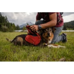 Ruffwear Front Range™ Hundetagesrucksack Rot XS -Hund Spielzeug Verkäufe 4e85c5fcf8221559a11a36a85cf18292f16c7ae6 1639836 de DE e32c1ef235eed898fdfb11ee92e223827867be67d4f5kE